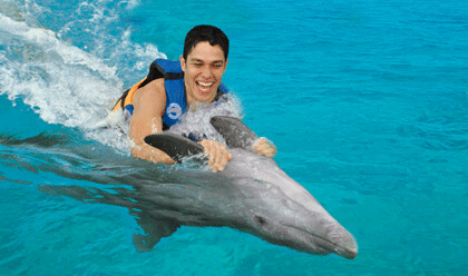 royal garrafon y encuentro con delfines 2