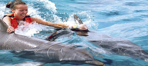 dolphin royal swim vip en isla mujeres 2