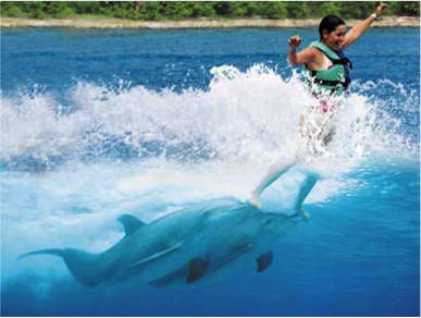dolphin royal swim en cozumel 2