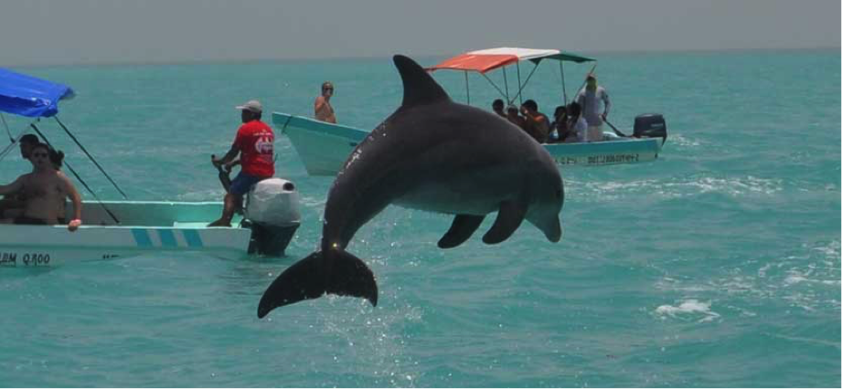 tours in cancun