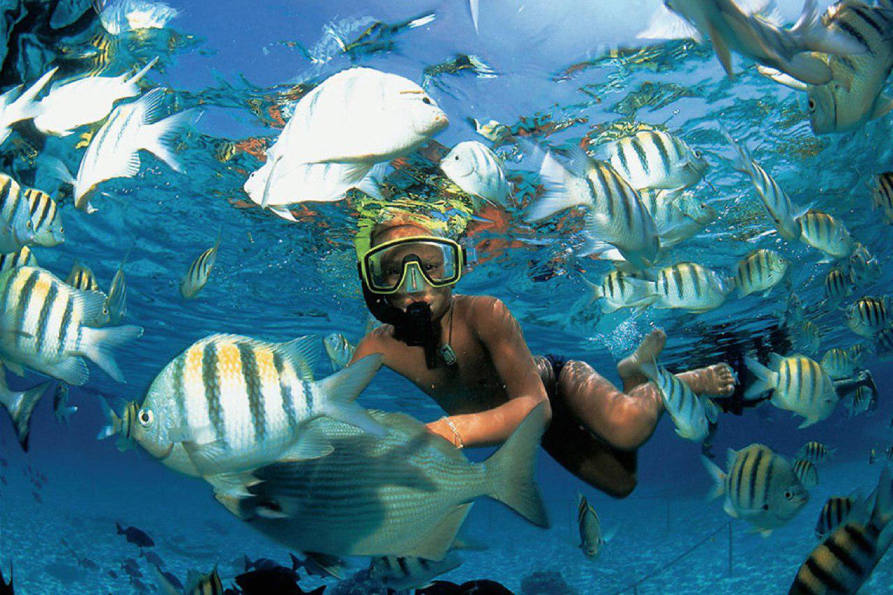 isla mujeres en catamarÁn, snorkel y nado con delfines 5