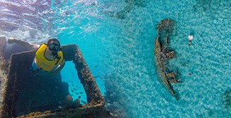 snorkel con tortugas  en el museo submarino 4