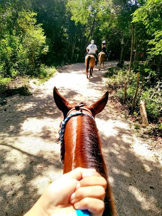 tour caballos extremo (compartido) 1