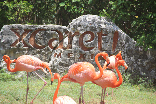 tour xcaret plus 1