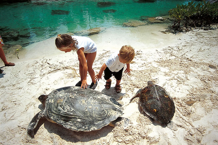 tour xcaret basico dos dias  1