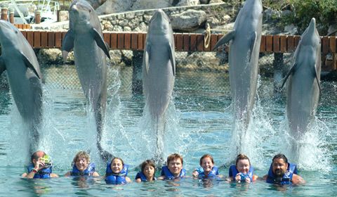 dolphintour primax 6 con xcaret  1