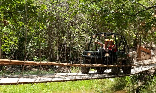 tours in cancun